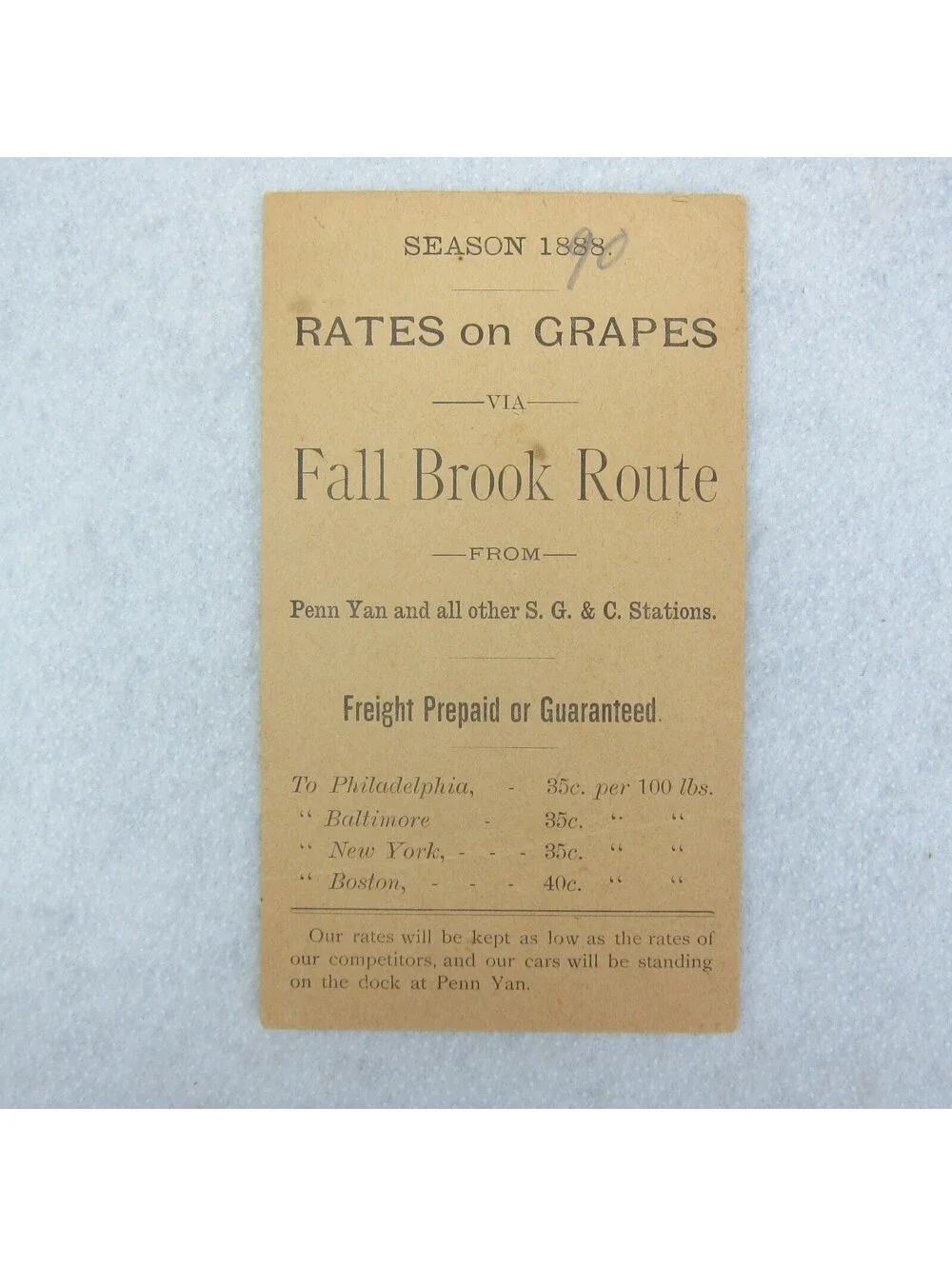 1888 Grapes Rate Card Syracuse Geneva & Corning Railway Fall Brook Route NY RARE